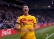 关于波兰-战胜奥地利，莱万多夫斯基示好给球迷，心存感激的信息