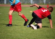 科维托娃遭遇十二场持续失利，SKT教练压力巨大！赢得满堂喝彩